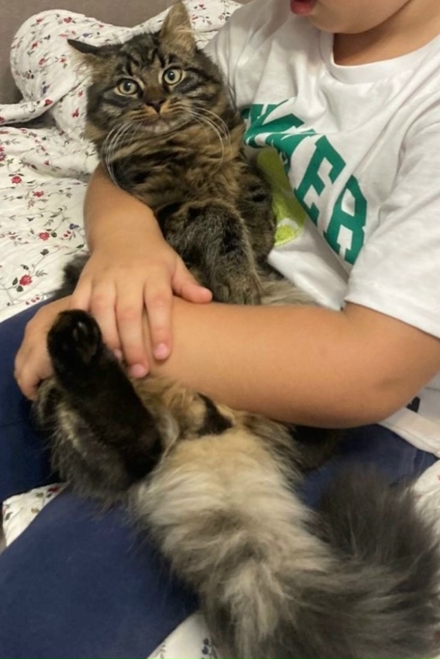 ? Друзья, наш кот Марсик , наш член семьи , наш самый лу...