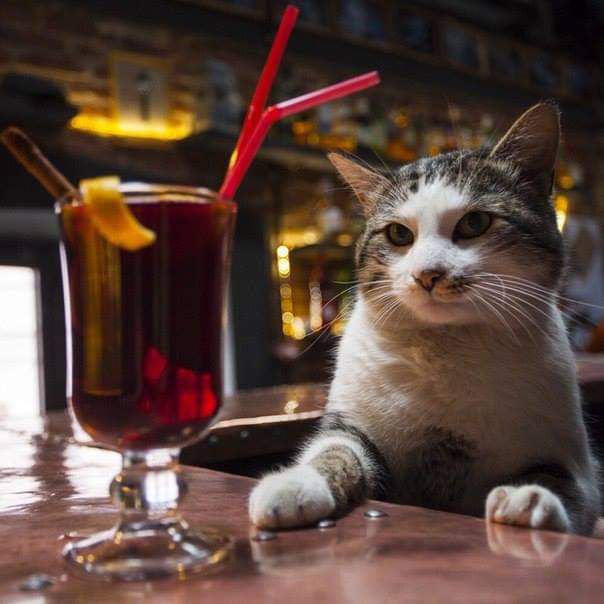 Девочки, сегодня отмечается Всемирный день глинтвейна!
Идеальный праздник для такой погоды в выходн