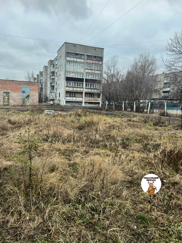 ❗Неоднократно родители и заведующая Детским садом №51...