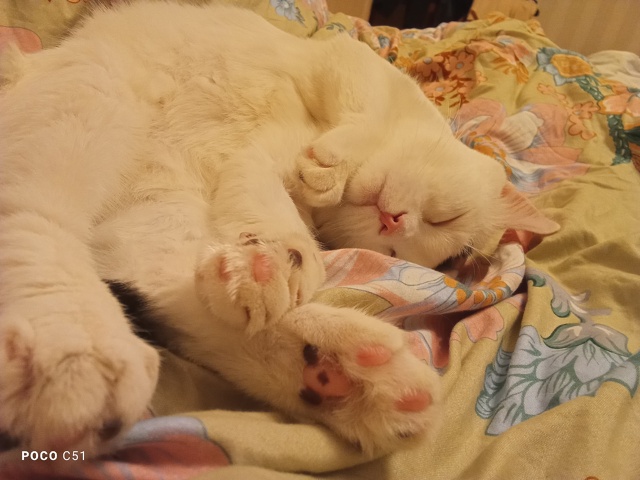 Нацелованный, наглаженный Тимофейка улёгся спать♥️♥...