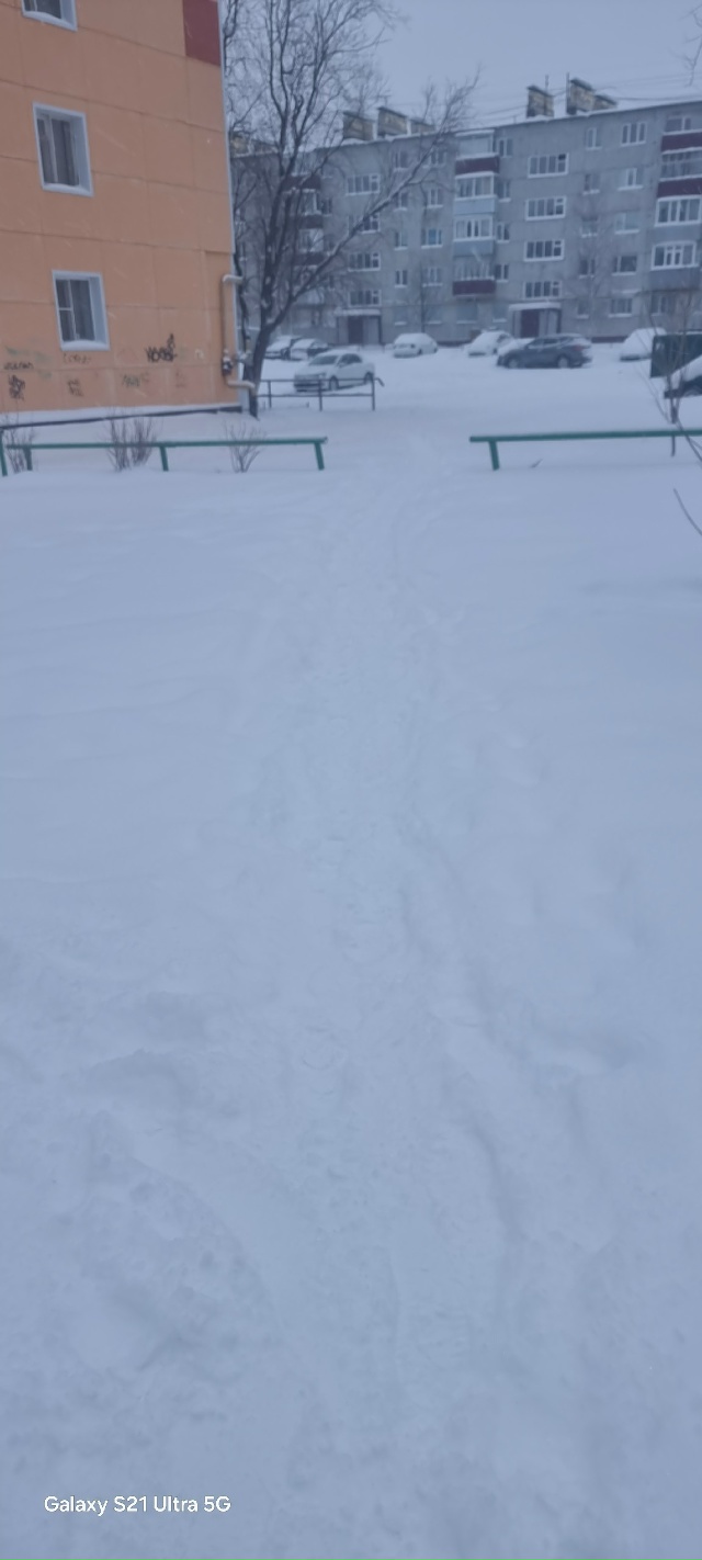 Хотелось бы узнать у градоначальников
1) когда тропинк?...