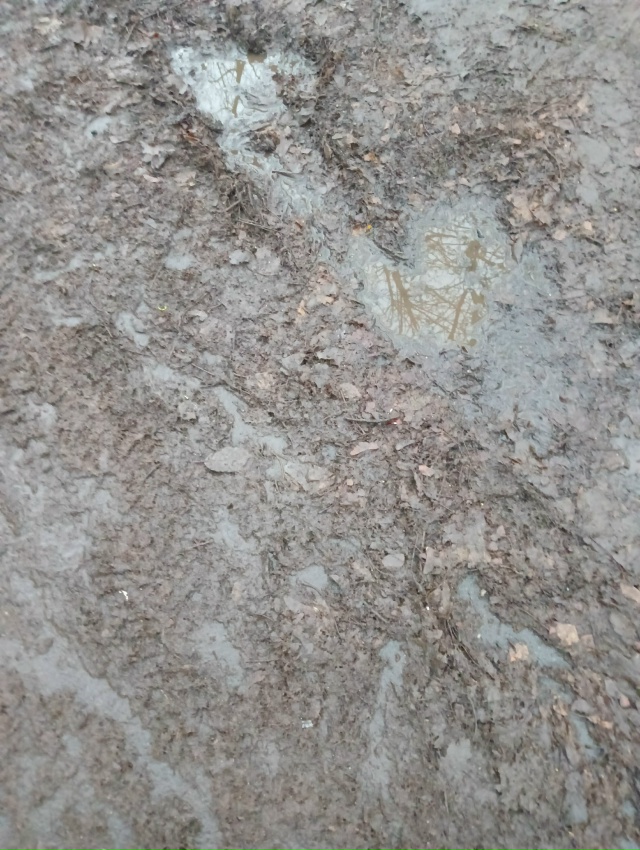 Слуги народа, ни у кого дети или внуки не посещают детс?...