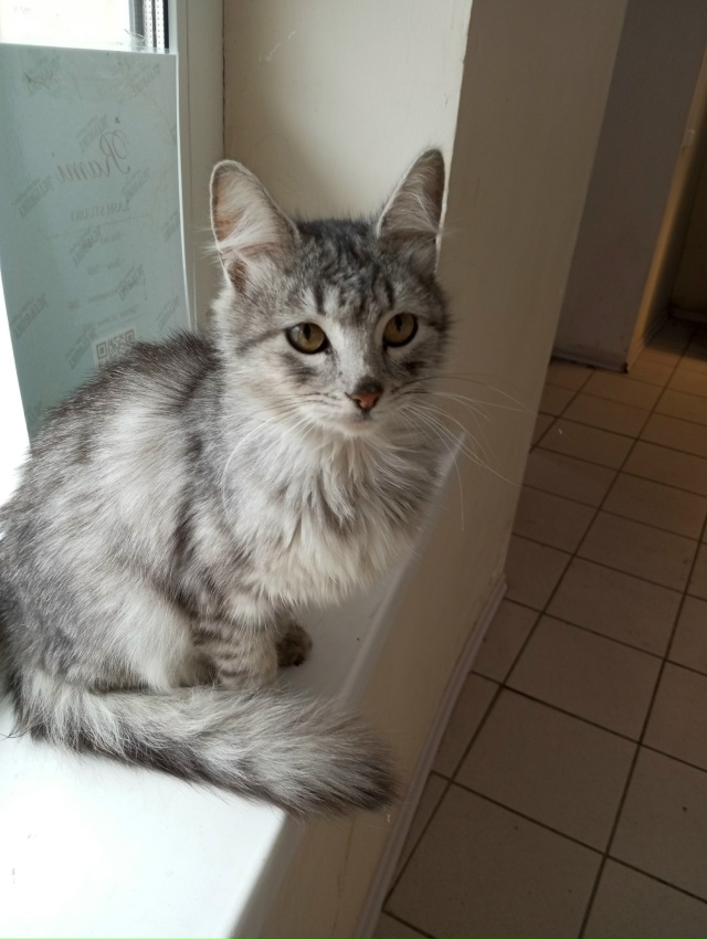 Срочно! На Валдберис , Красногвардейская 30,подкинули п...