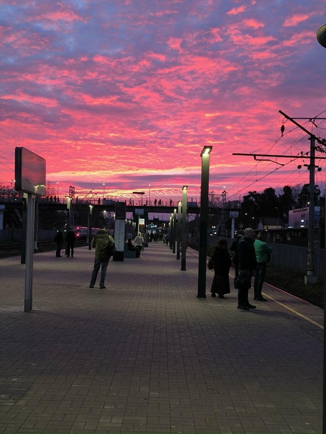 Утро на станции Удельная 😍
фото: Наталья Кондакова