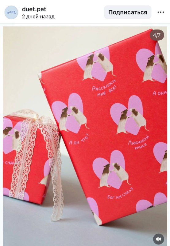 Милота: бренд Duet выпустил упаковочную бумагу для подарков подружке. На ней нарисованы крыски с над