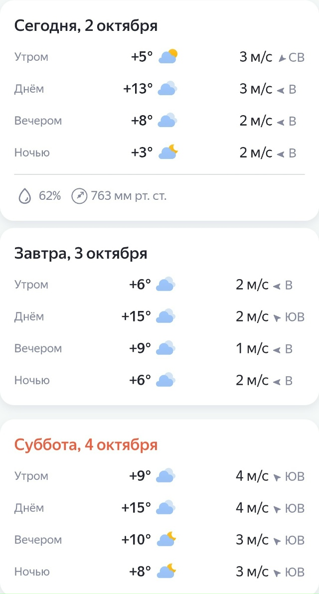 Погода в Выксе на ближайшие 3 дня ⛅
