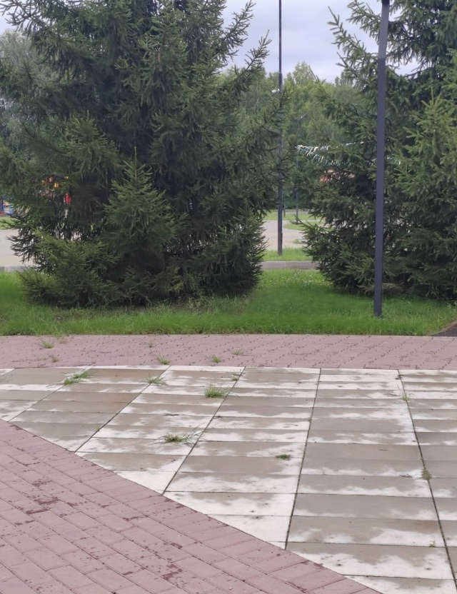 Как то уныло становится в парке Победы. Зарастают трав?...