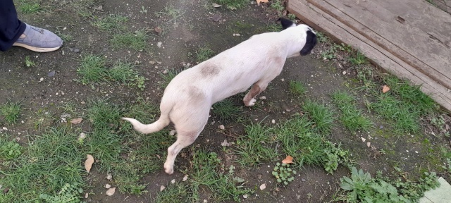 Думаю об этом стоит сказать!!!!!
В Красногвардейске, в ра...