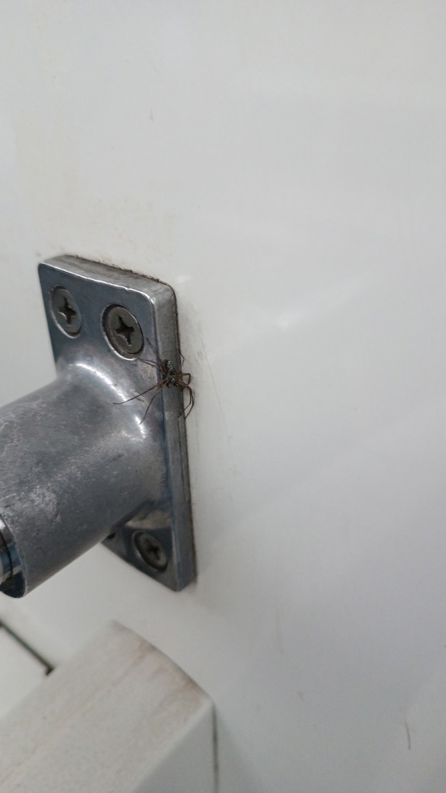 Тоже решил проехаться :)