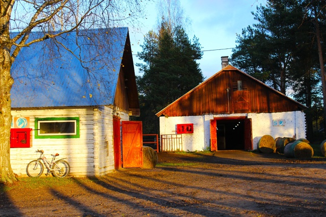 Хорошевский коневодческий комплекс 🍂🍂
Правда краси...
