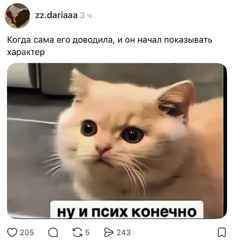Нужно срочно бежать от этого арбузера 💅