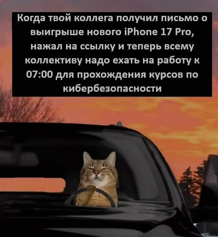 Ночная подборочка
Спать, режим