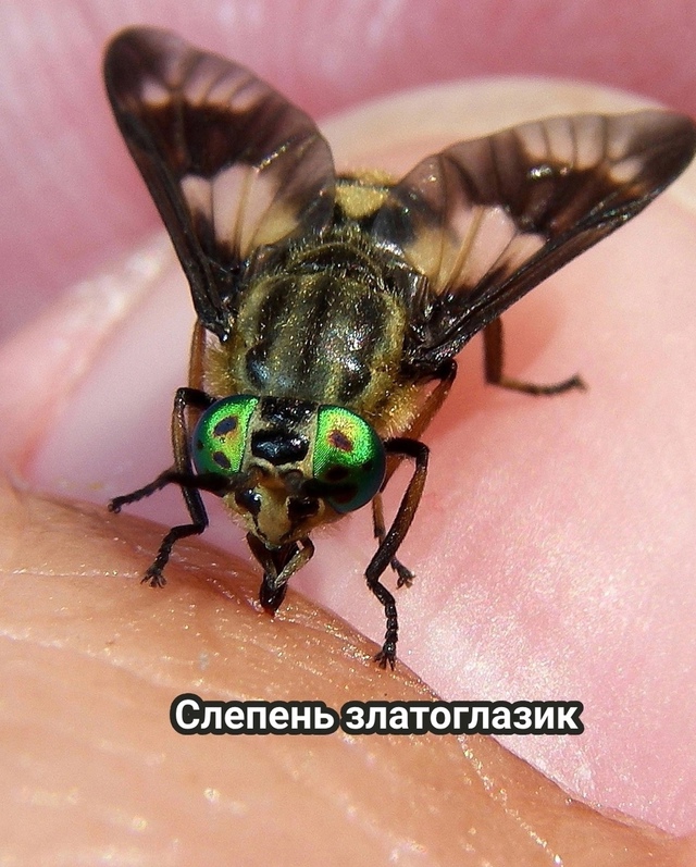 ⚡️Ладно, убедили😀