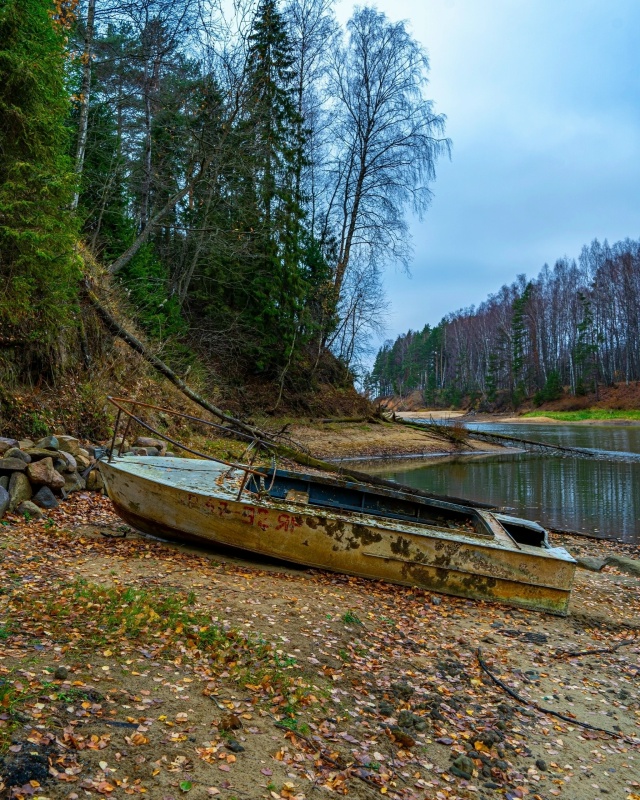 Красота осенней природы ❤ Рыбинский район, Селехово ?...