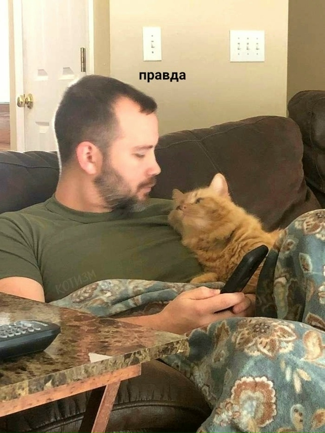 Если и любовь – то только такая!