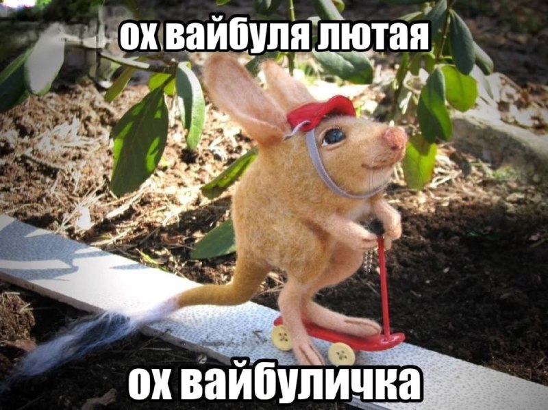 как вы провели лето?