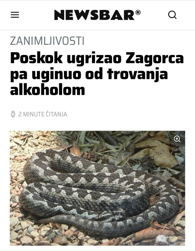 😅 Гадюка умерла после укуса пьяного туриста — алкого?...