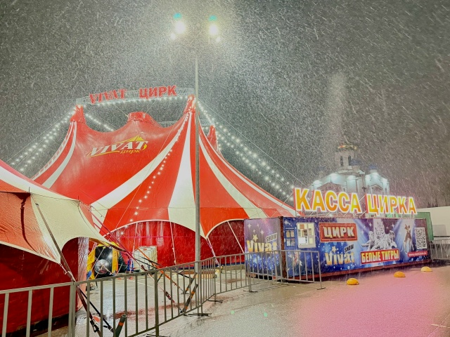 🎪 ЗАКЛЮЧИТЕЛЬНЫЕ дни гастролей программы «Белые тигр...