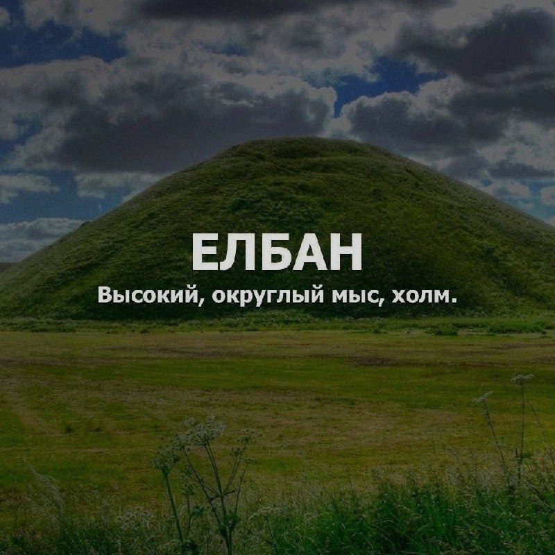 Ночная подборочка
Выходные, не спим