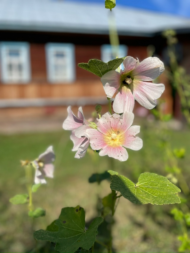 Доброго утра, Никольск❤