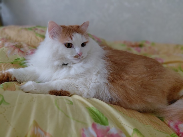 Матильда. 5 лет