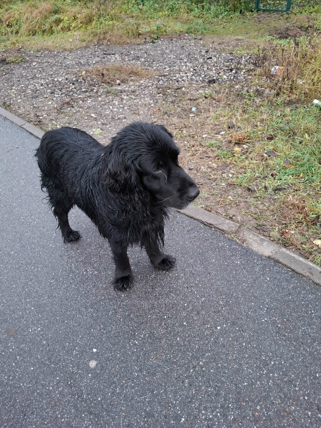 Бегает на Калинина.мальчик