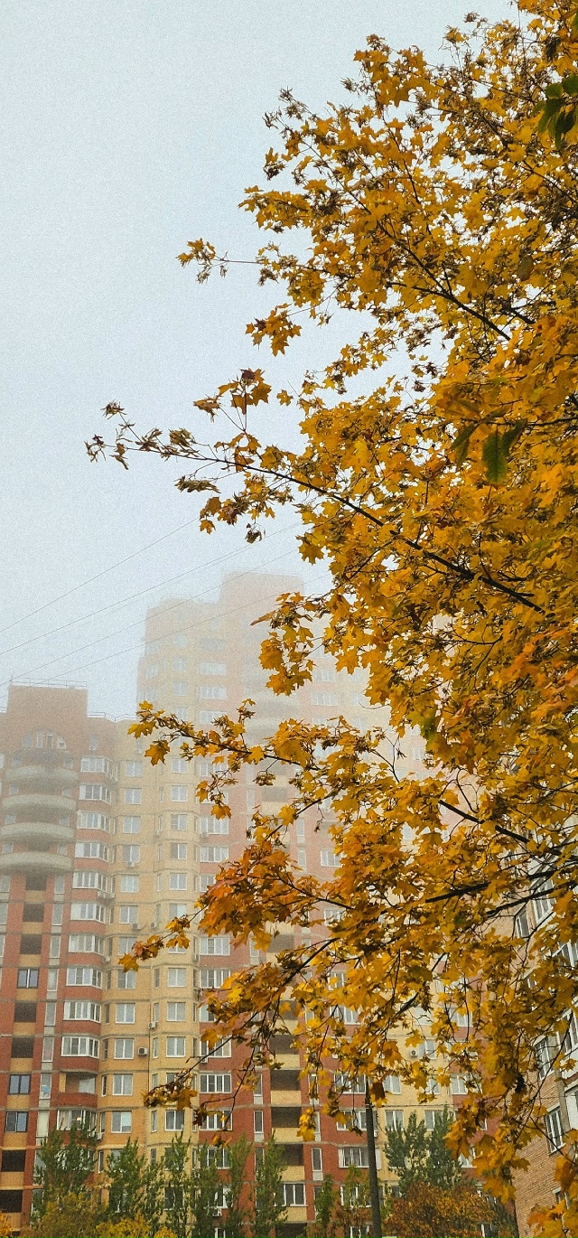 Осень в Балашихе😍