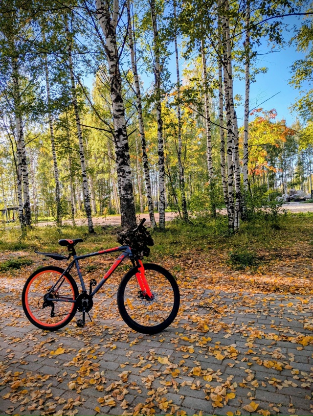 Вечерний интерактив!
Выкладываем последнее фото, сдел...