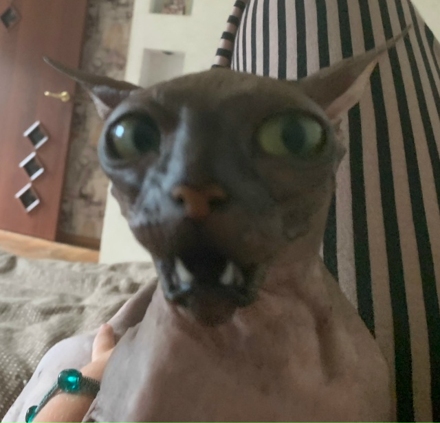 Удивительное создание необычайной красоты