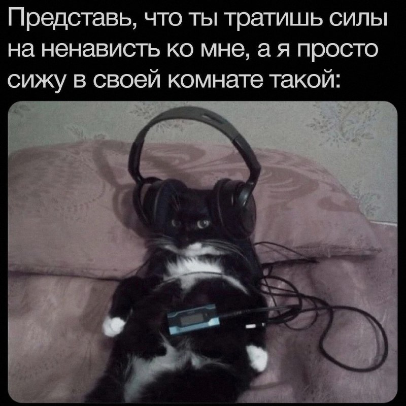 Кошачья подборочка
Спать, режим