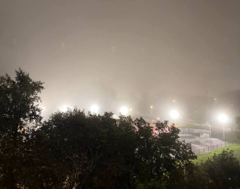 🌫️ По Московской области ожидается туман с видимостью 100-500 метров, — МЧС
Туман сохранится до 9