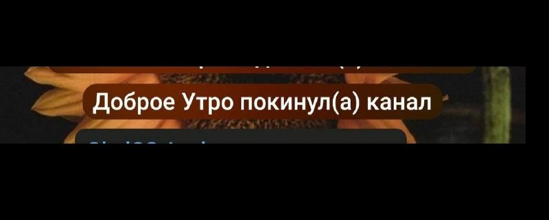 pov: понедельник