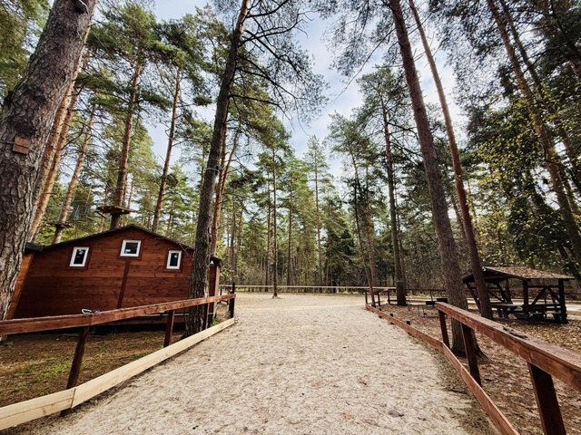На коньках среди сосен — рядом с Гидрой начали возводи...