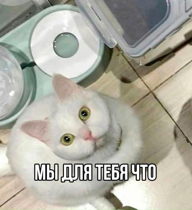 А тапочки то крутые