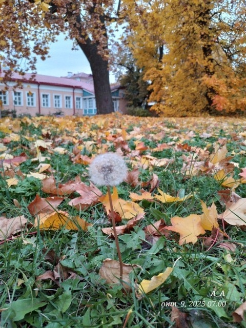 Хорошего дня, Петергоф!
Фото: Анна Шевченко
#фото