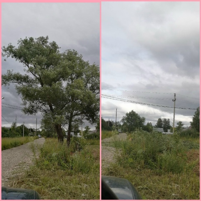 СПИЛИМ ЛЮБОЕ ДЕРЕВО (рядом с домами, проводами, заборам...
