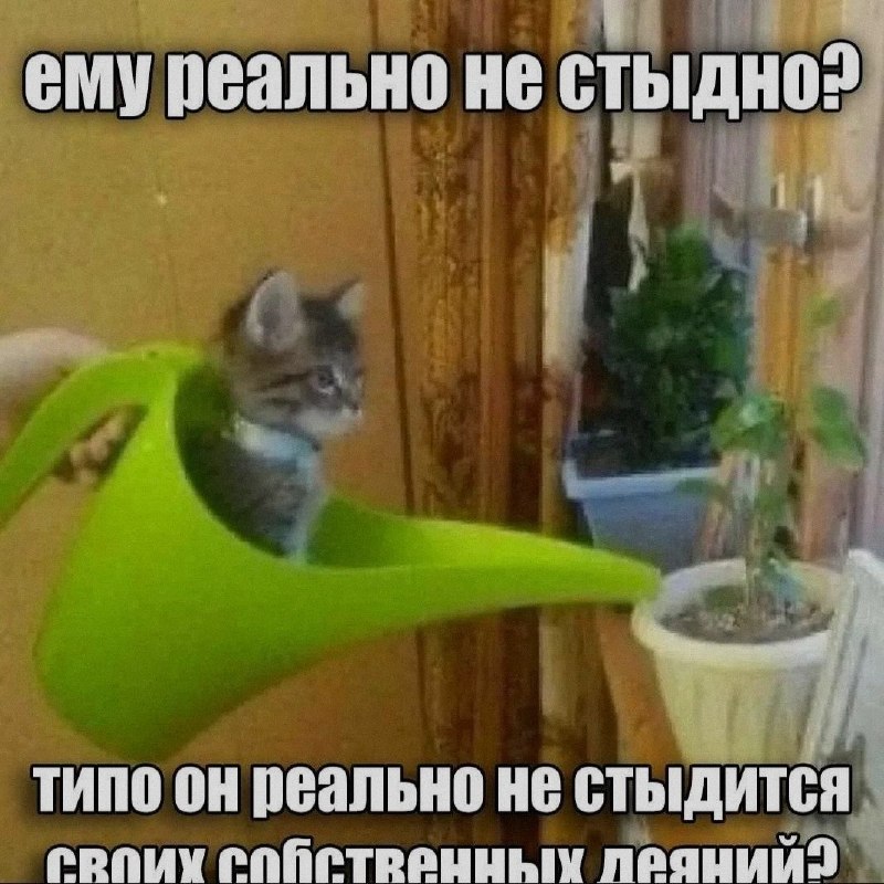 Ночная подборочка
Выходные, не спим