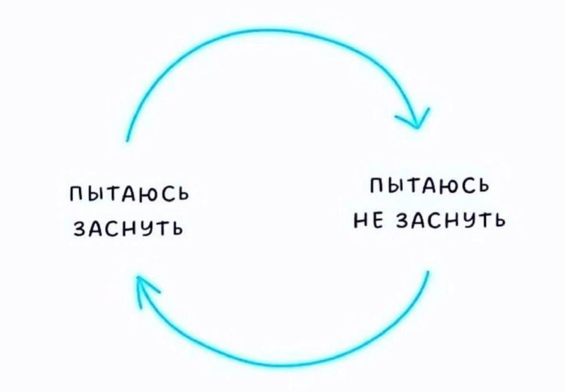 мой распорядок дня: