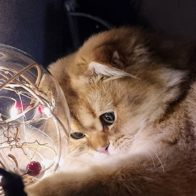 Ну очень интересно.