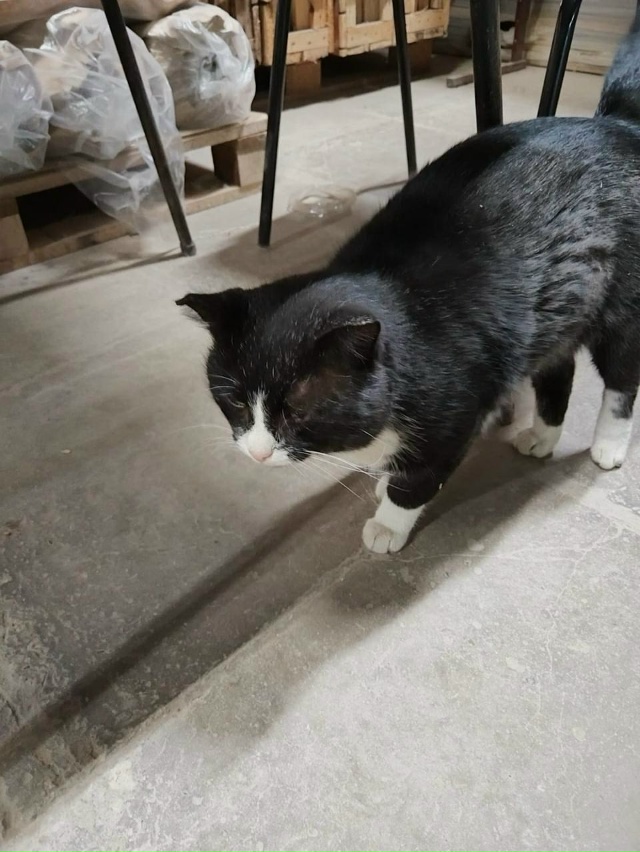 Володька Рыблев заскочил к нам в цех, работяги сразу пр...