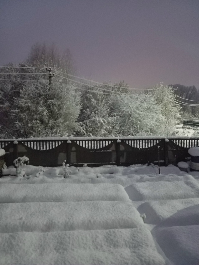 Зимняя cкaзкa a Ηoвocибиpcкe ❄️