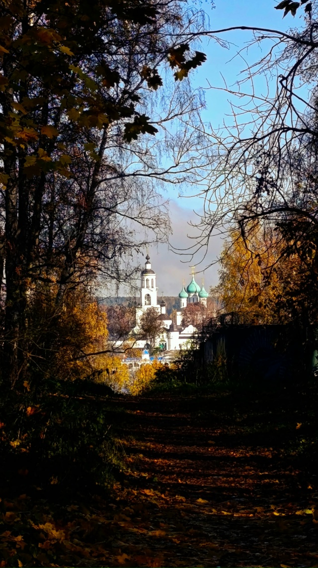 Осенняя Павловская роща🍂
