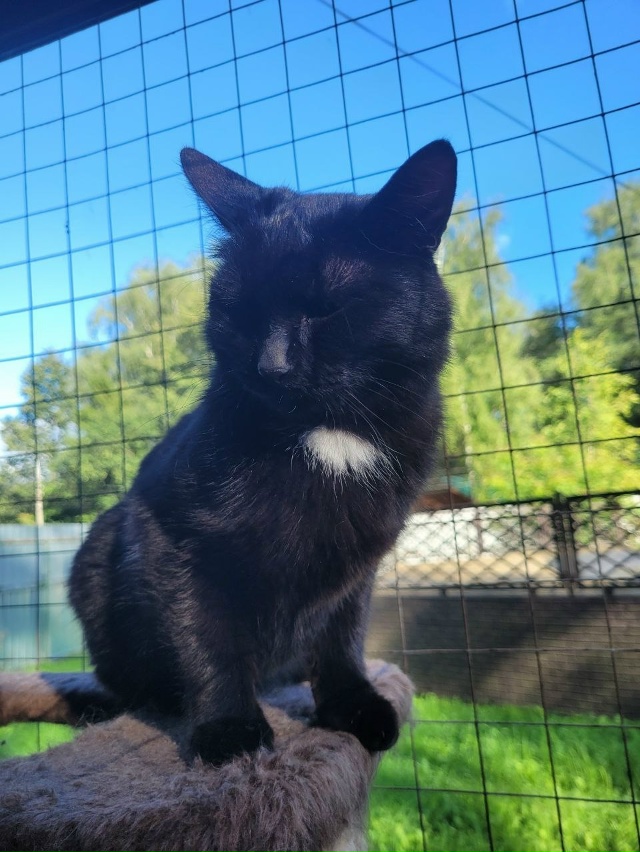 ‼️СРОЧНО
МОСКВА И МОСКОВСКАЯ ОБЛАСТЬ‼️
?Доставим ?...