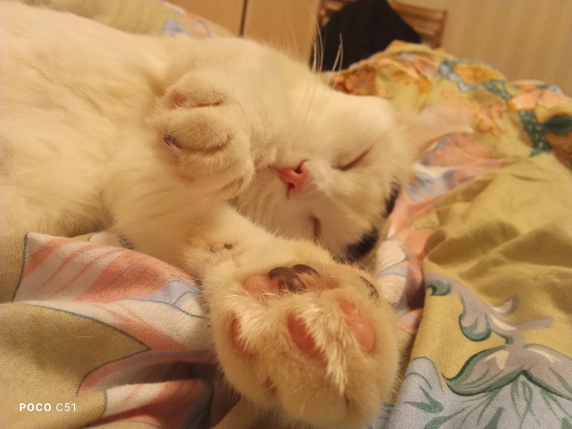 Нацелованный, наглаженный Тимофейка улёгся спать♥️♥...