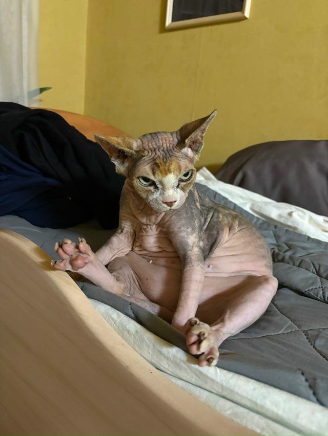 айзе за свои 12 лет довелось побывать в 3 городах, послед...