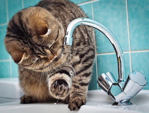 ❗️Жителей Северо-Запада Курска предупредили об отклю...