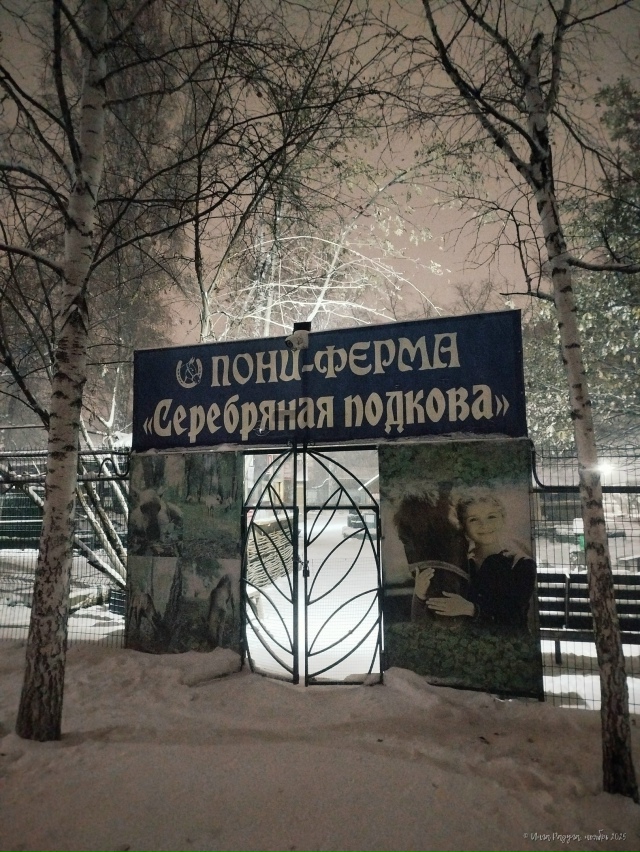 ✨ Дoбpый нoчи, Ηoвocибиpcк!
Φoтo: Ингa Рaдугa