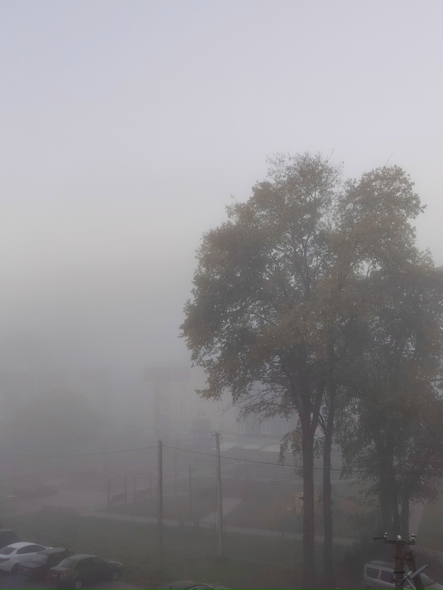 Вот и сегодня Ёжик сказал Медвежонку:
— Как всё-таки хо...