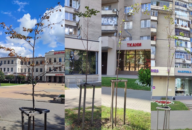 Улица Кирова, в центре Воронежа, когда-то была очень зе?...