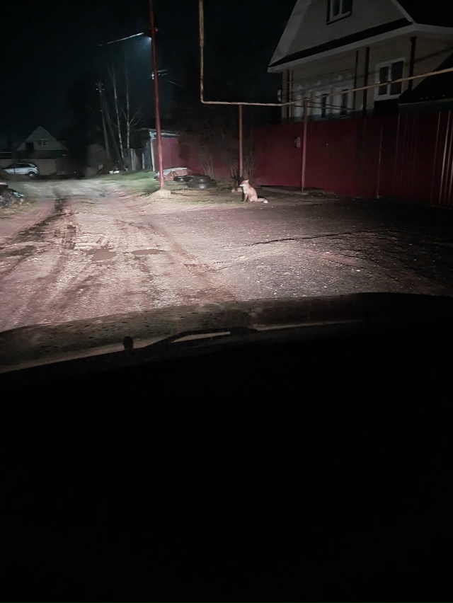 Воскресенское, ул Кооперативная в 19 часов. Анон